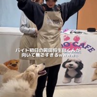 ひもを結び直して再挑戦