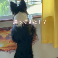 急いで窓の前へ！