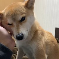 パパさんと一緒にのんびり♪
