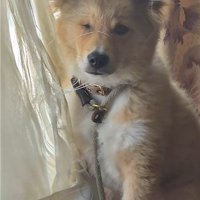 糸が絡まって動けないようです