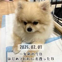 悲しげな表情…