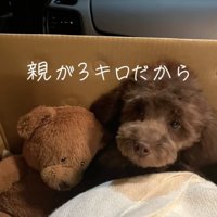 まだまだあどけないお顔