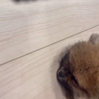 ぐっすり熟睡中でした♡