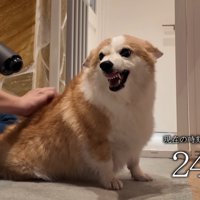 ドライヤー中の鬼のような形相