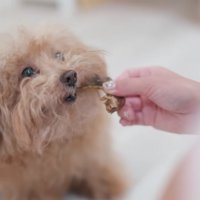 おやつで仲良しに♪