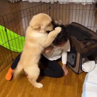 男の子に覆いかぶさるラニーちゃん