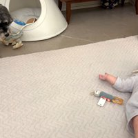 少し離れて様子をうかがっています