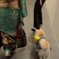 ぶぅちゃん専用の待合室へ