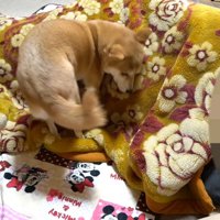 いいポジションを探してくるくる