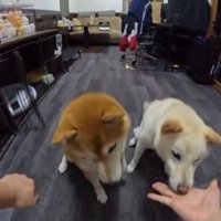 こっち