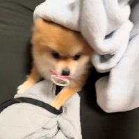 ん？
