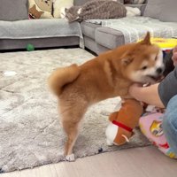 押し倒されちゃった！！