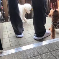 嬉しそうにご挨拶♪