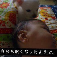 眠る赤ちゃんに寄り添う小型犬