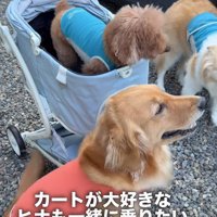 「私も乗りたい！」