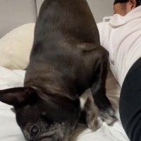 思わず取り乱すニッキーちゃん