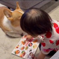 いなり君に読み聞かせをする女の子4