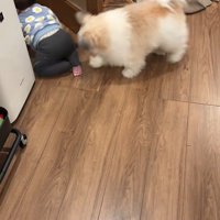 赤ちゃんを守る小太郎くん3