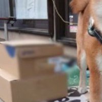 お届け完了通知に写されていたのは…