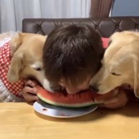 スイカ完食