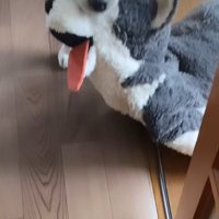 おもちゃを咥えて…
