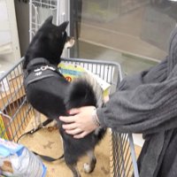震え始めました！