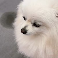 シュンとした表情