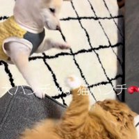 バトルが勃発！？