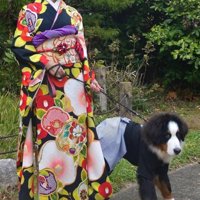 子犬の隣に立つ着物を着た女性