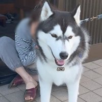 おばあちゃんが大好きなおこめくん