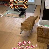音が聞こえて再び逃亡