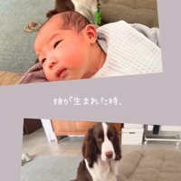 ププくんと娘さん