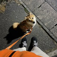 雨の日の散歩は大変！！