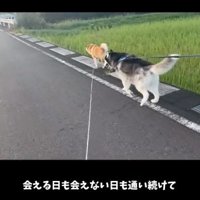 通い続ける2匹