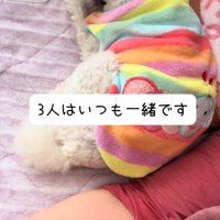 飼い主に寄りかかって眠る白い犬