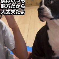 「大丈夫だよ」