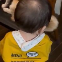 クルクルしてる
