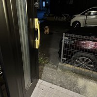 フィジカル
