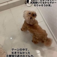 「どう？止まれたでしょ？」