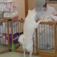坊やちゃんに興味津々！！