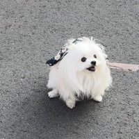 こだわり