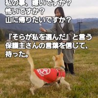 落ちていたゴルフボールを宙に投げる女性