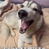 穏やかな表情
