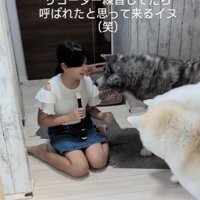 だいちくんも参戦！