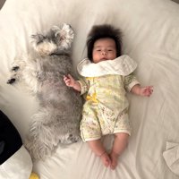 仲良くゴロゴロ♪