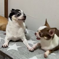 うめちゃんの遊びの誘い方5