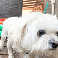 「もう絶対入らない」