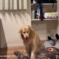 冷静なイヴちゃん