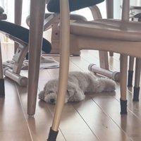 今にも寝ちゃいそう