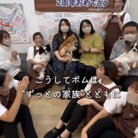 たくさんの人に囲まれた犬